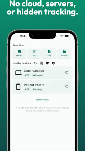 LocalSend: Transfer Files screenshot 2