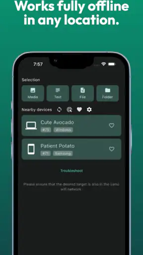LocalSend: Transfer Files screenshot 3