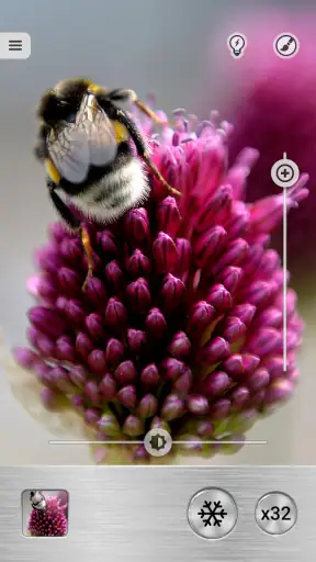 Loupe Plus avec Torche LED screenshot 3