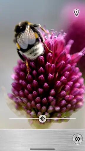 Loupe Plus avec Torche LED screenshot 7