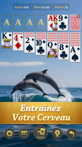 Maître du Solitaire Classique screenshot 2