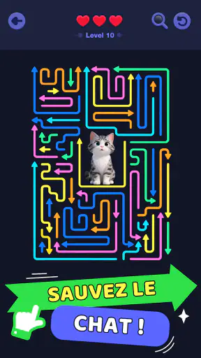 Maze Master: Défi Couleur screenshot 2