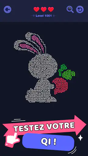 Maze Master: Défi Couleur screenshot 5
