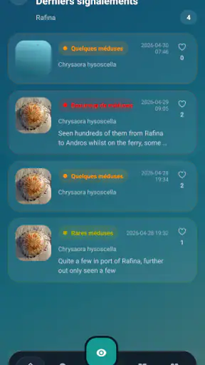 Meduseo screenshot 10