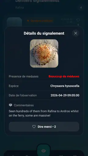 Meduseo screenshot 11