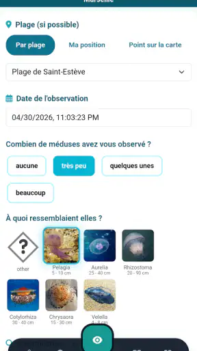 Meduseo screenshot 6