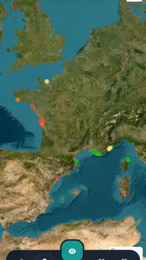 Meduseo screenshot 7