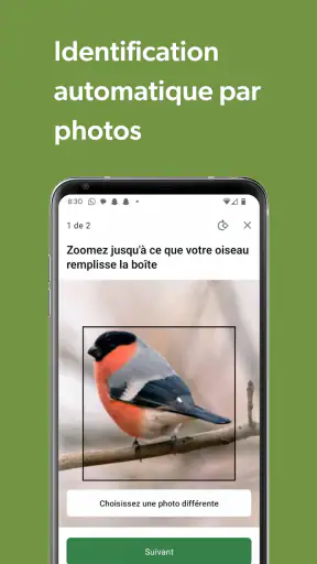 Merlin Bird ID par Cornell Lab screenshot 6