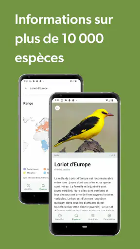 Merlin Bird ID par Cornell Lab screenshot 8
