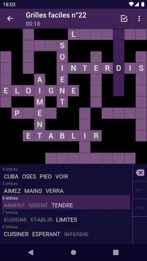 Mots Casés - Français screenshot 5