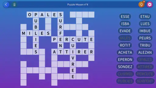 Mots Casés: Grilles illimitées screenshot 6