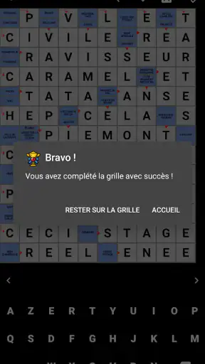 Mots Fléchés Français screenshot 3