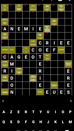 Mots Fléchés Français screenshot 8