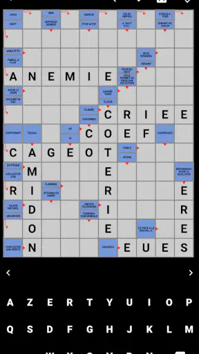 Mots Fléchés Français screenshot 9