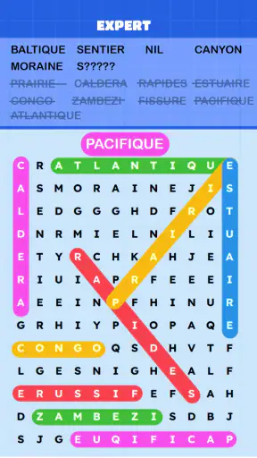 Mots Mêlés Puzzle Challenge screenshot 2