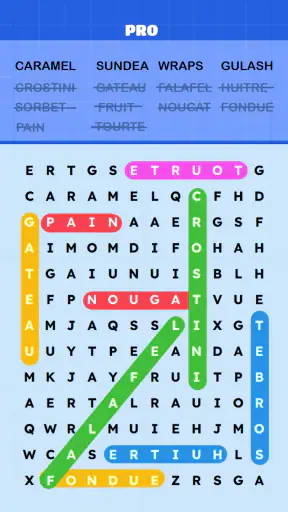 Mots Mêlés Puzzle Challenge screenshot 9