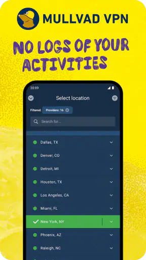 Mullvad VPN screenshot 3