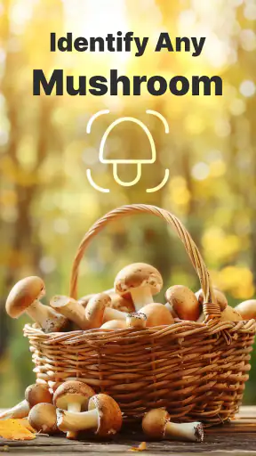 Mushromizer screenshot 10