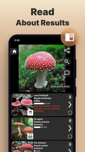 Mushromizer screenshot 11