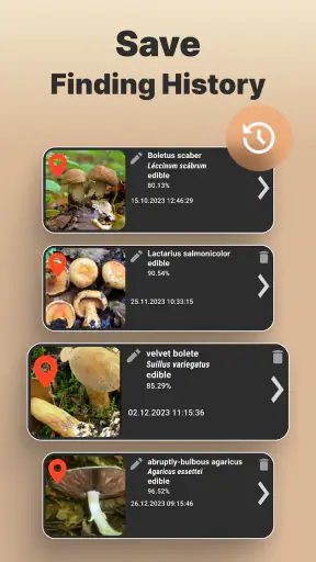 Mushromizer screenshot 12