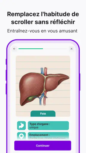 Nibble : Quiz & apprentissage screenshot 8