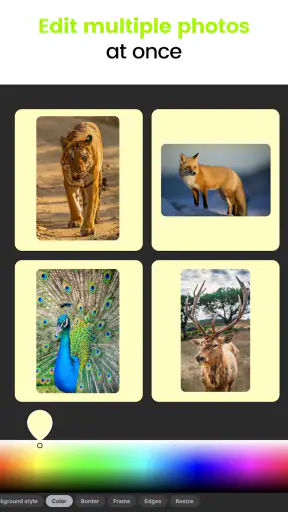 No Crop Photo: Picture Resizer screenshot 10