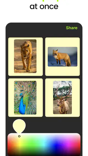 No Crop Photo: Picture Resizer screenshot 2