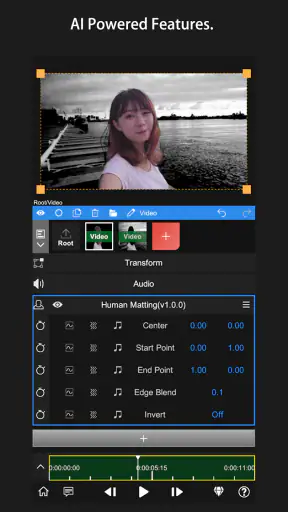 Node Video screenshot 6