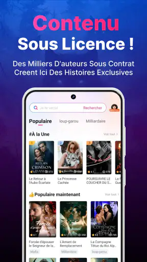 NovelFlow-Livres Illimités screenshot 6