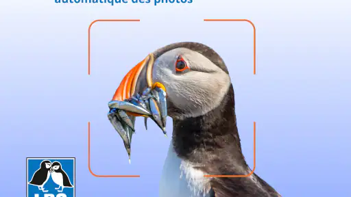 Ois'App - Oiseaux de France screenshot 10