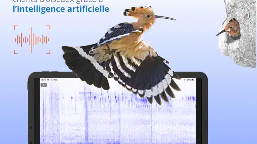 Ois'App - Oiseaux de France screenshot 11