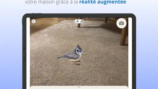 Ois'App - Oiseaux de France screenshot 12