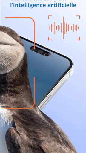 Ois'App - Oiseaux de France screenshot 3