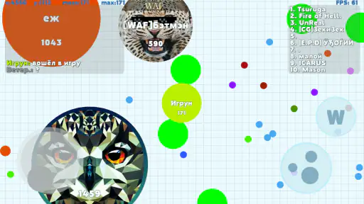 PetriDish.pw screenshot 3