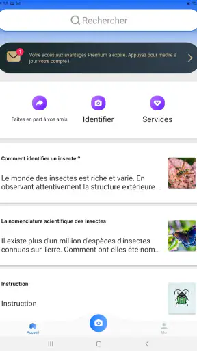 Picture Insect - Insectes ID screenshot 10