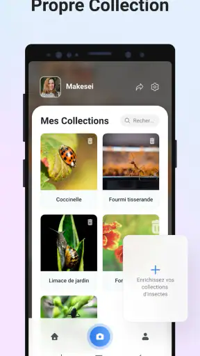 Picture Insect - Insectes ID screenshot 6