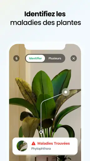 PlantApp - Identificateur screenshot 3