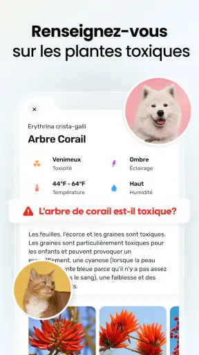 PlantApp - Identificateur screenshot 5