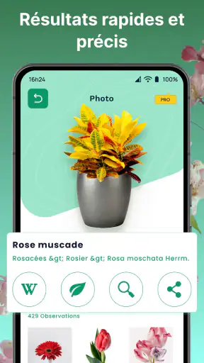 Plantes Reconnaissance App screenshot 10