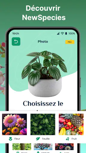 Plantes Reconnaissance App screenshot 3