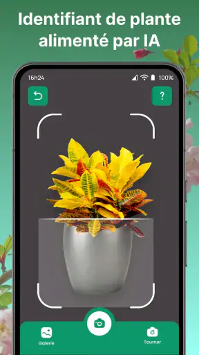 Plantes Reconnaissance App screenshot 7