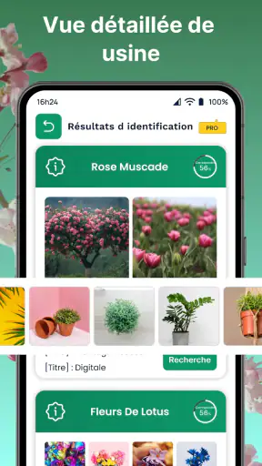 Plantes Reconnaissance App screenshot 9