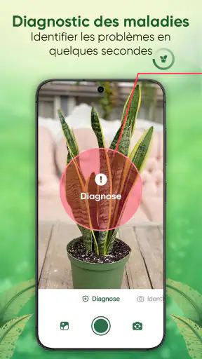 Plantes Reconnaissance & Soins screenshot 3