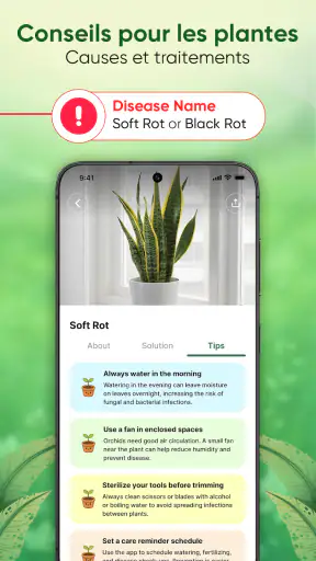 Plantes Reconnaissance & Soins screenshot 4