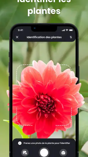 PlantIn plantes reconnaissance screenshot 1