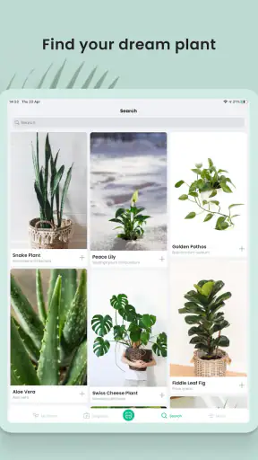 PlantIn plantes reconnaissance screenshot 12
