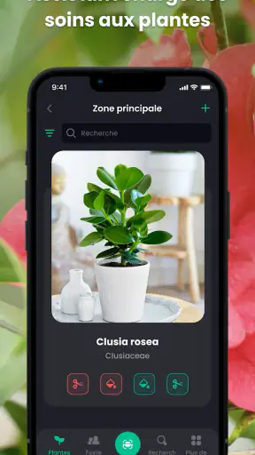 PlantIn plantes reconnaissance screenshot 2