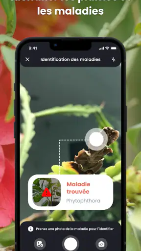 PlantIn plantes reconnaissance screenshot 3