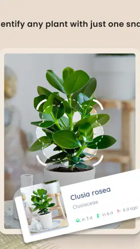 PlantIn plantes reconnaissance screenshot 9