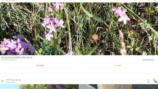 PlantNet Identification Plante screenshot 12